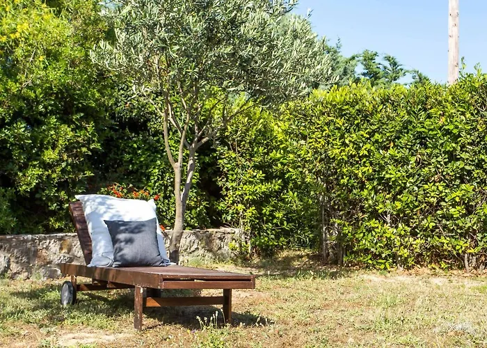 Ivy Kallithea * Ammoudes (Rhodes)