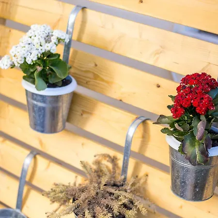 Ivy Kallithea * Ammoudes (Rhodes)