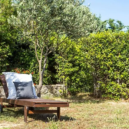 Ivy Kallithea * Ammoudes (Rhodes)