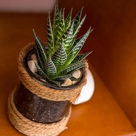 Ivy Kallithea Ammoudes (Rhodes)