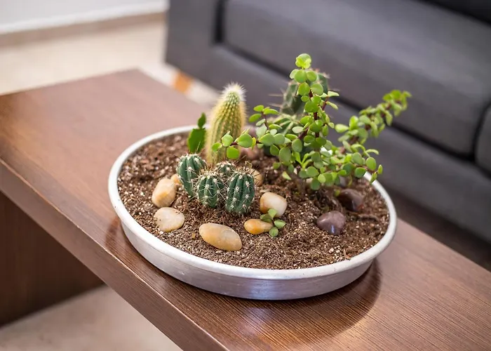 Ivy Kallithea Ammoudes (Rhodes)