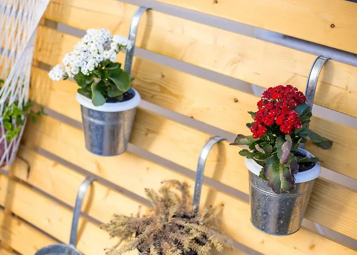 Ivy Kallithea * Ammoudes (Rhodes)