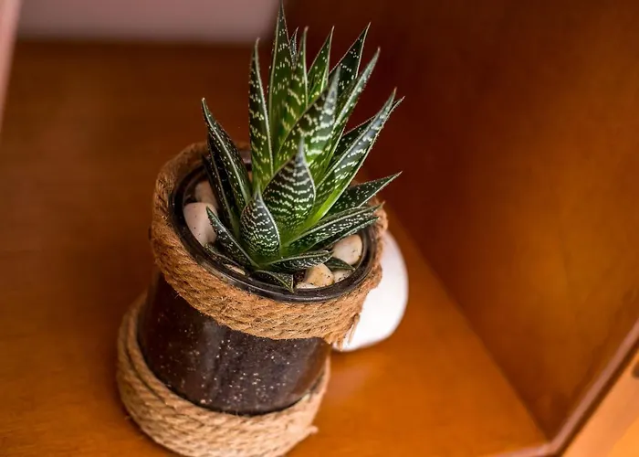 Ivy Kallithea Ammoudes (Rhodes)